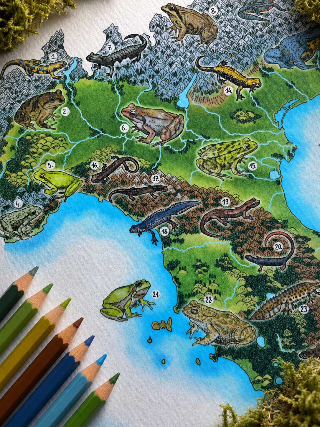 Amphibians of Italy - Conservation Map