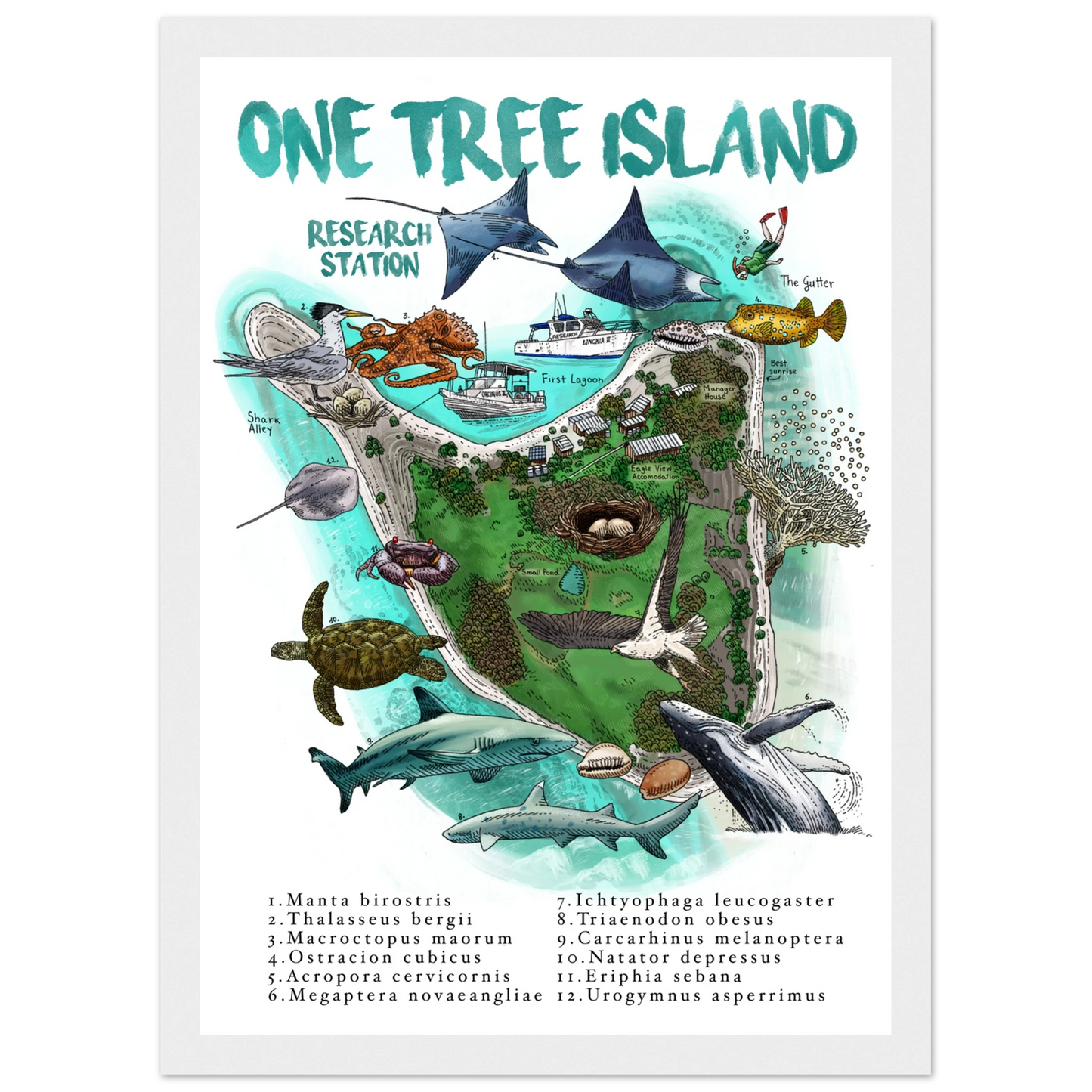 d4a5aa7f-7b80-4305-b80e-696481dcf976